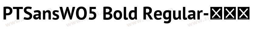 PTSansWO5 Bold Regular字体转换